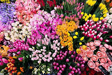 策略类肉鸽游戏《回渊迷城》1月12日发售 新角色将登场