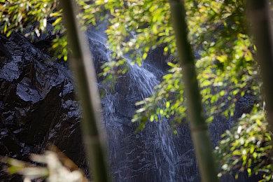 《人中之龙８》横山昌义一封信 介绍名称来源